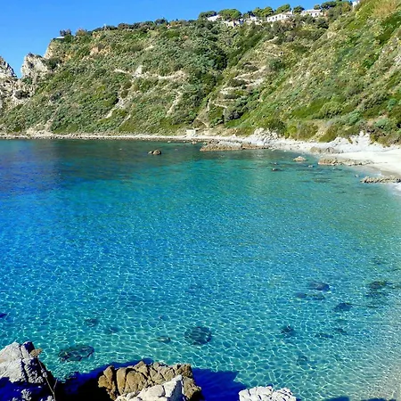 1 Bedroom Pet Friendly In Appartamento