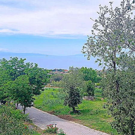 Apartment Gorgeous In